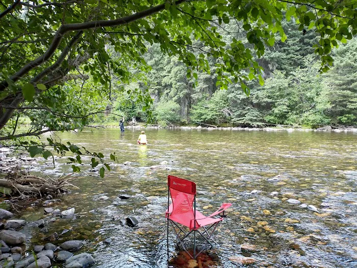 Shipping Corrals Picnic Area 4