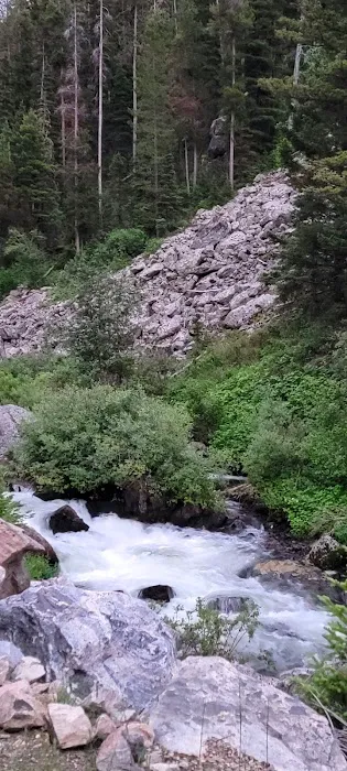 Lower Hyalite Group Campground 8
