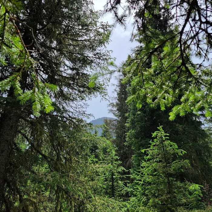 Lower Hyalite Group Campground 9