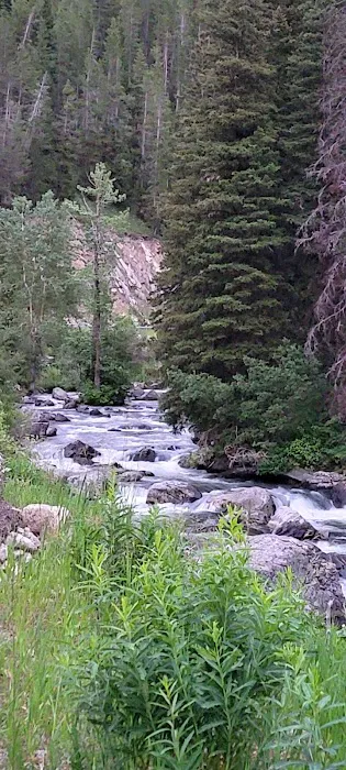 Lower Hyalite Group Campground 4