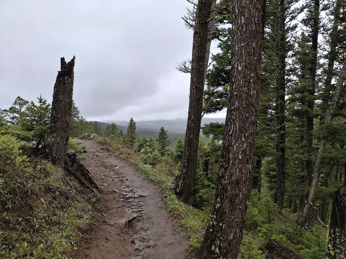 Brackett Creek Trailhead 8