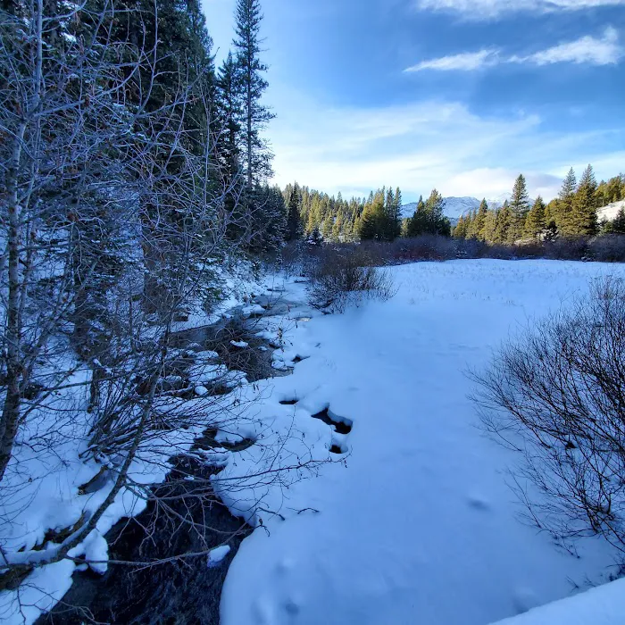 Brackett Creek Trailhead 9