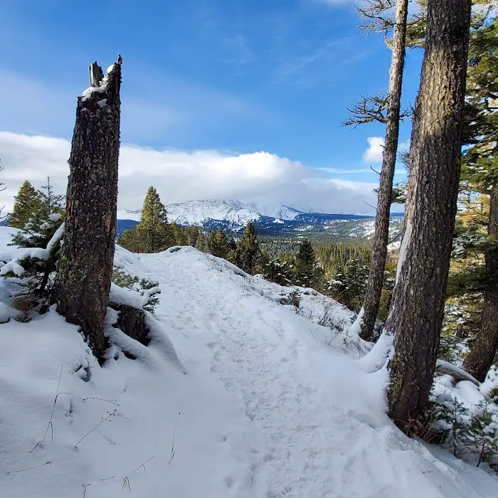 Brackett Creek Trailhead 5