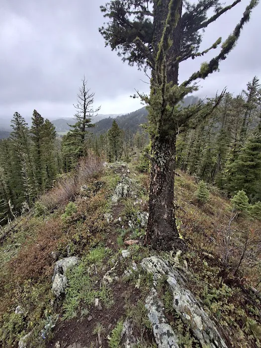 Brackett Creek Trailhead 4
