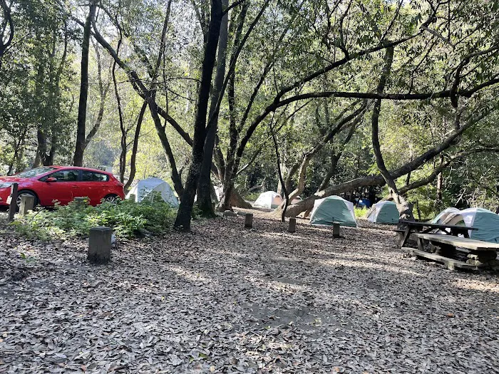 Pfeiffer Big Sur State Park Campground 5