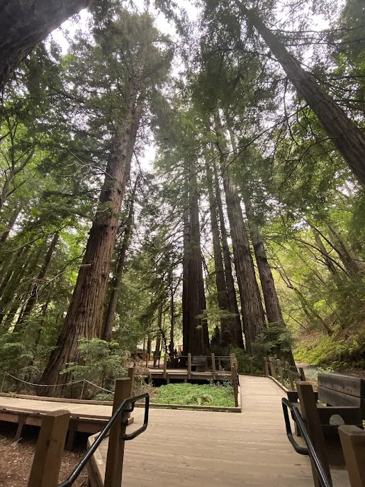 Pfeiffer Big Sur State Park Campground 3