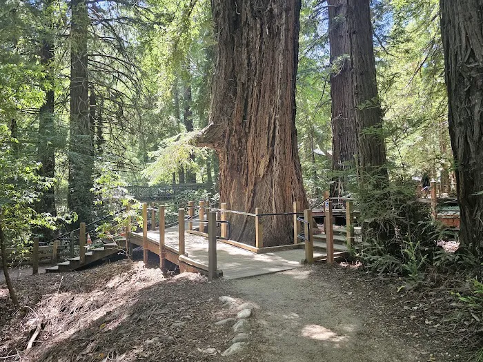 Pfeiffer Big Sur State Park Campground 4