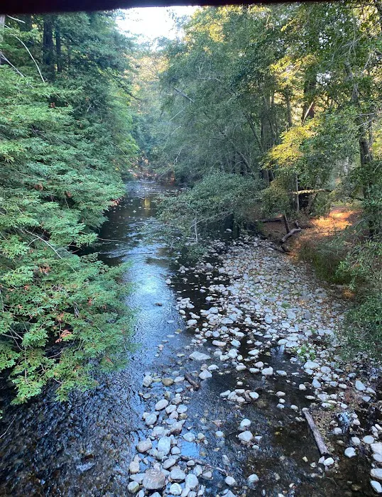 Pfeiffer Big Sur State Park Campground 8