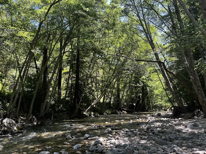 Pfeiffer Big Sur State Park Campground 6