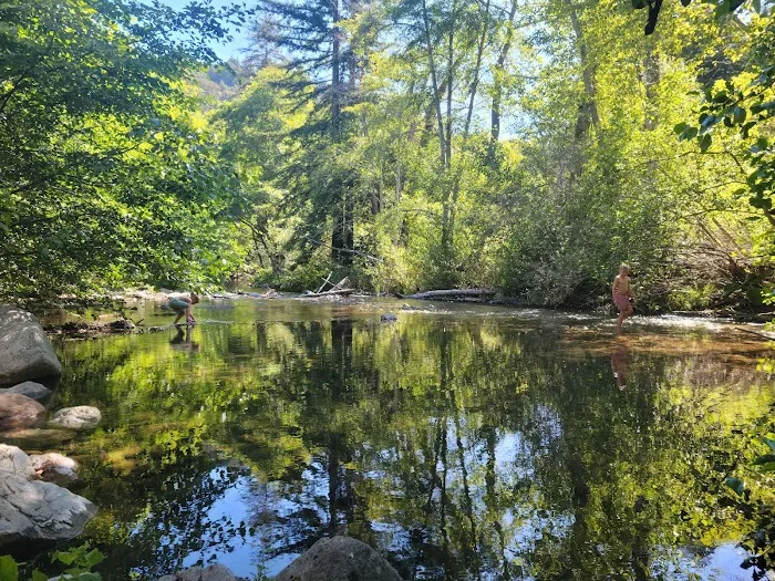 Pfeiffer Big Sur State Park Campground 7