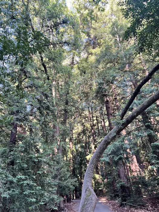 South Campground 1
