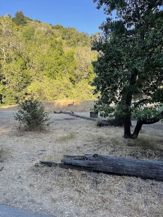 South Campground 0
