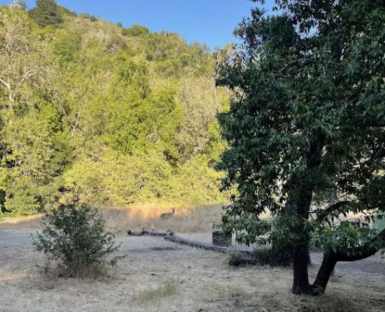 South Campground