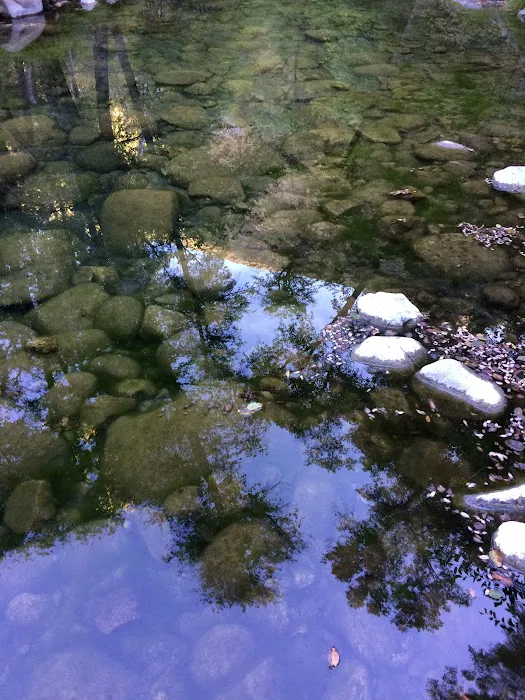 Escondido Campground 8