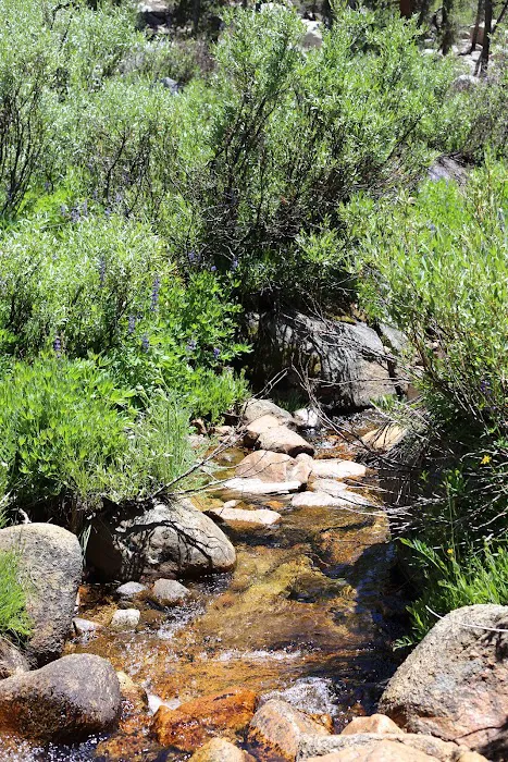 Dispersed Campground 0