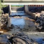 Pattison Park Campground