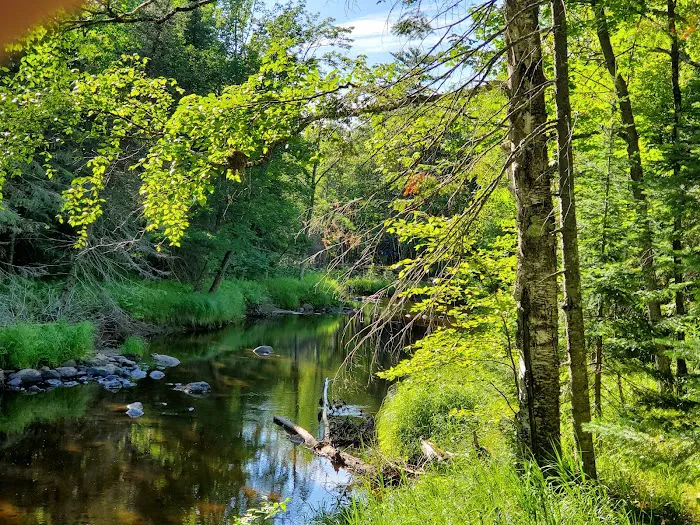 Pattison Park Campground 8