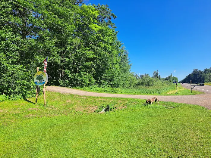 Spring Oaks Campground 4