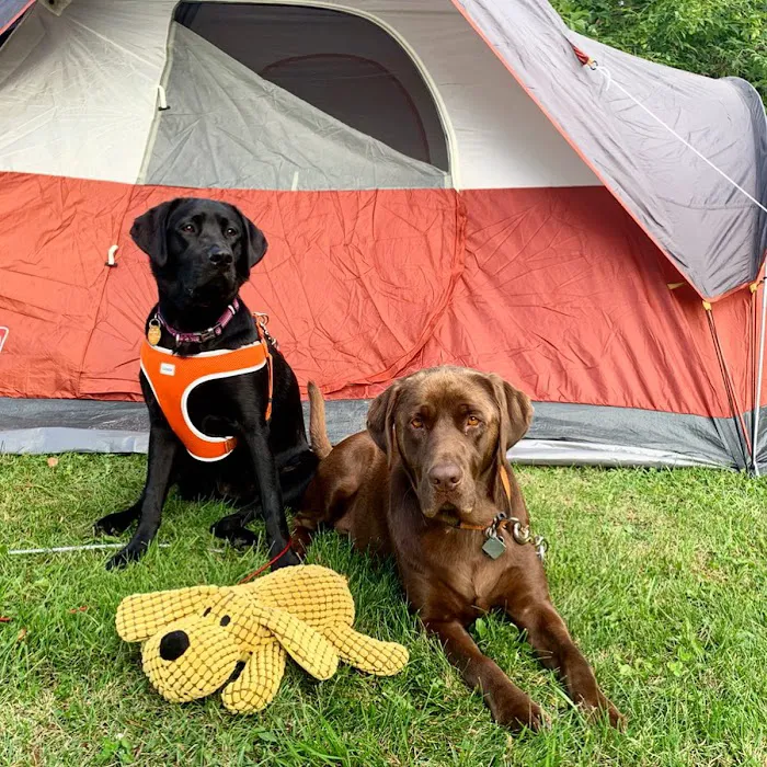 Saginaw Campground 6