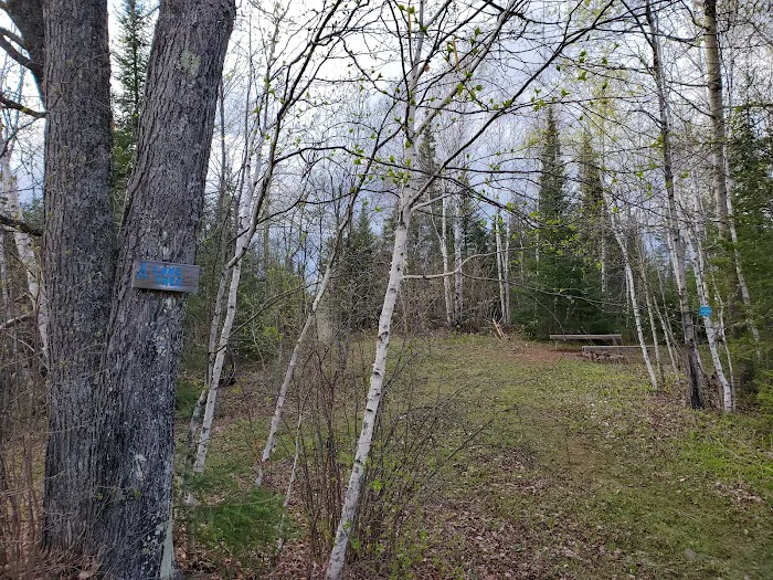 Lone Tree Camp 0