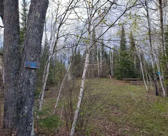Lone Tree Camp