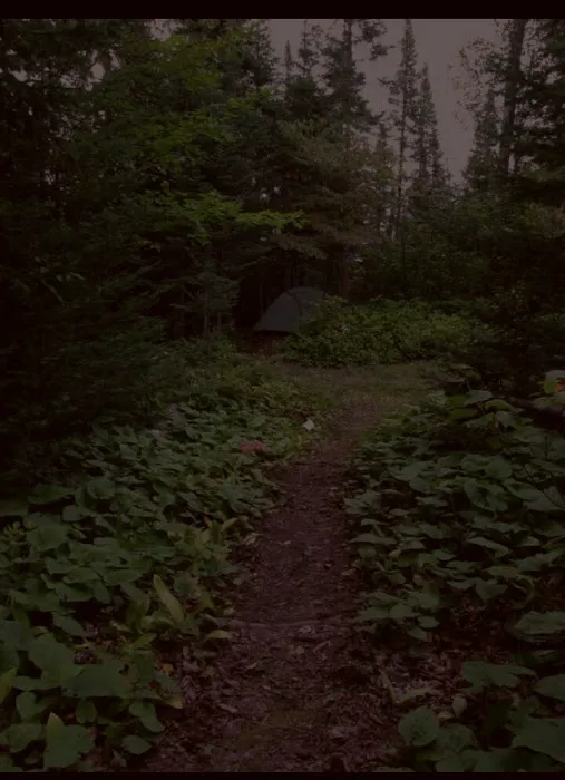 Lone Tree Camp 4