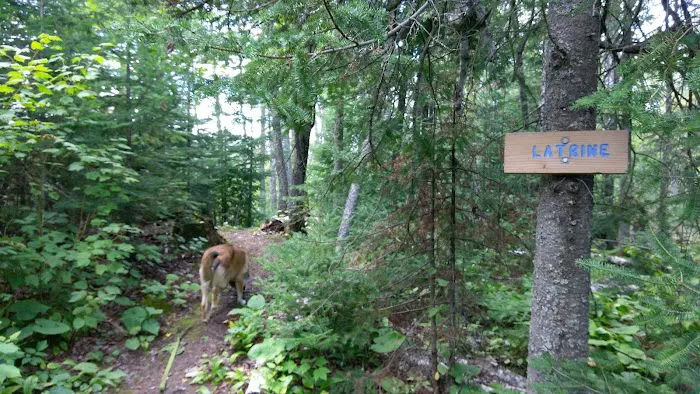 Lone Tree Camp 8