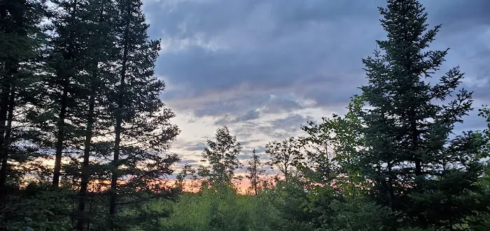 Lone Tree Camp 3