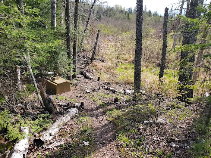 Lone Tree Camp 1