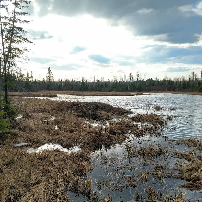 Heron Pond Camp 7