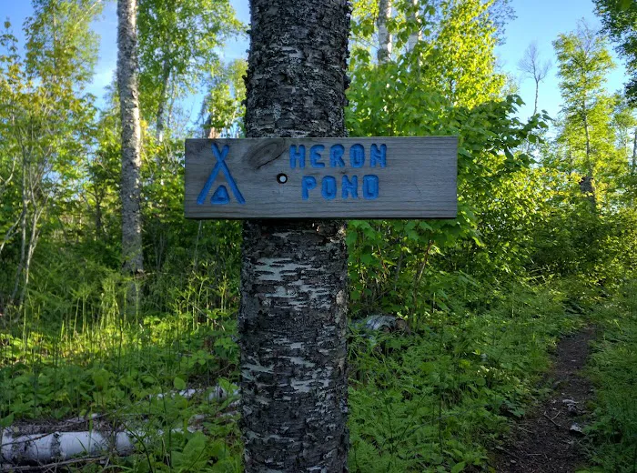 Heron Pond Camp 4