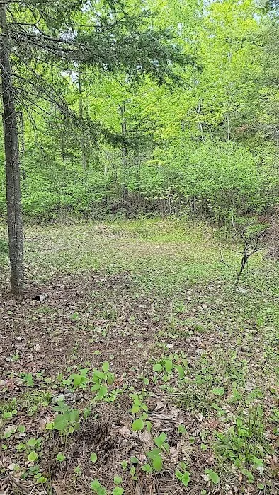 Island lake campsite 1