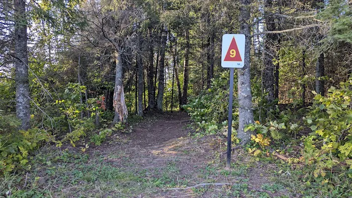 Island Lake Campsite #9 1