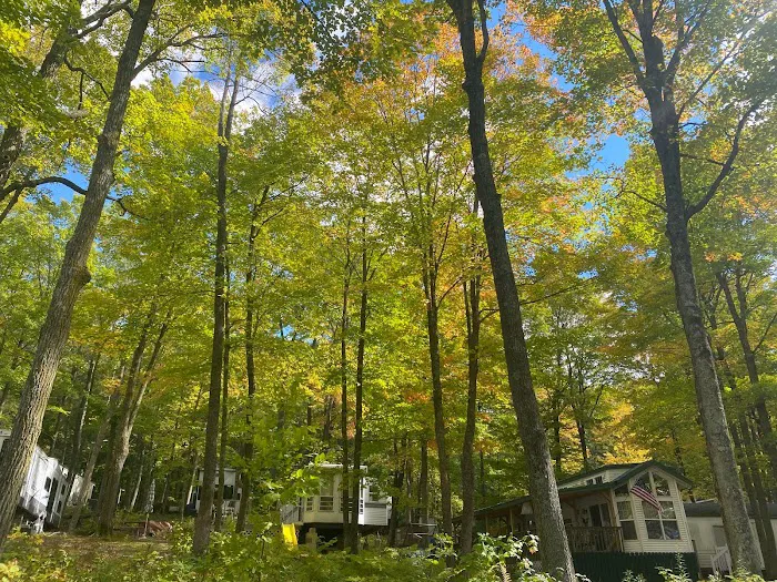 Camp Brigadoon 7
