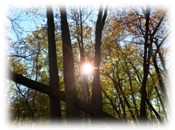 Hidden Meadows RV Park & Campground 4