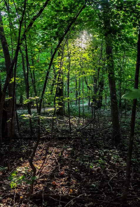 Rice Lake State Park Campground 0