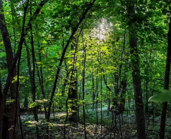 Rice Lake State Park Campground