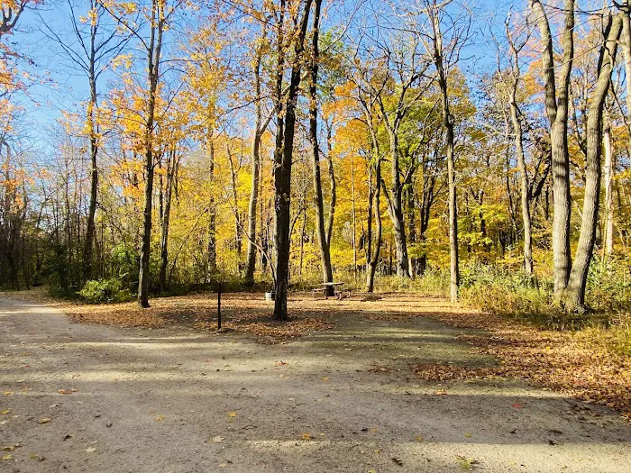 Rice Lake State Park Campground 6