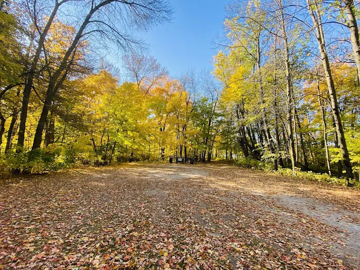 Cart-In Campsites 3