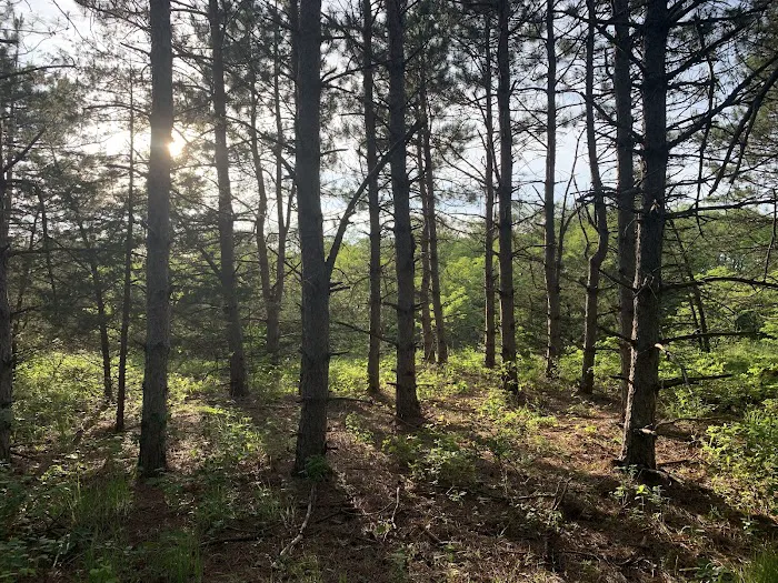 Holden Campground 4