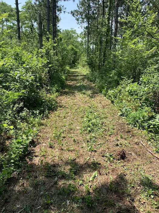 Holden Campground 7