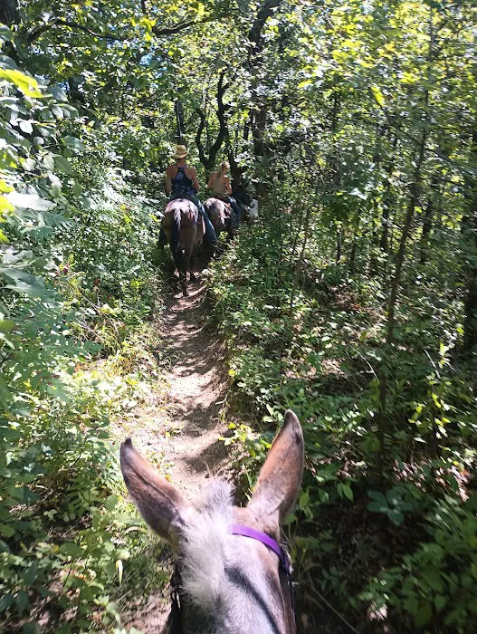 Zumbro Bottoms Horse Campground - West 9