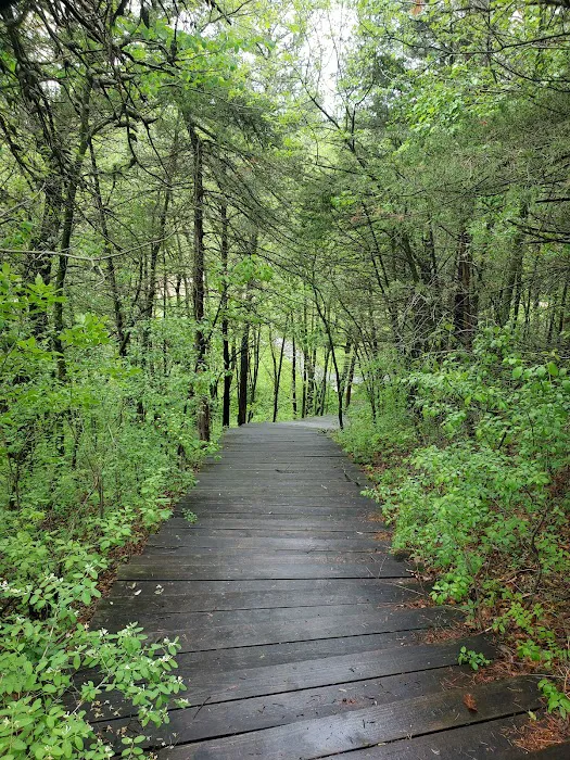 Kruger Campground 8