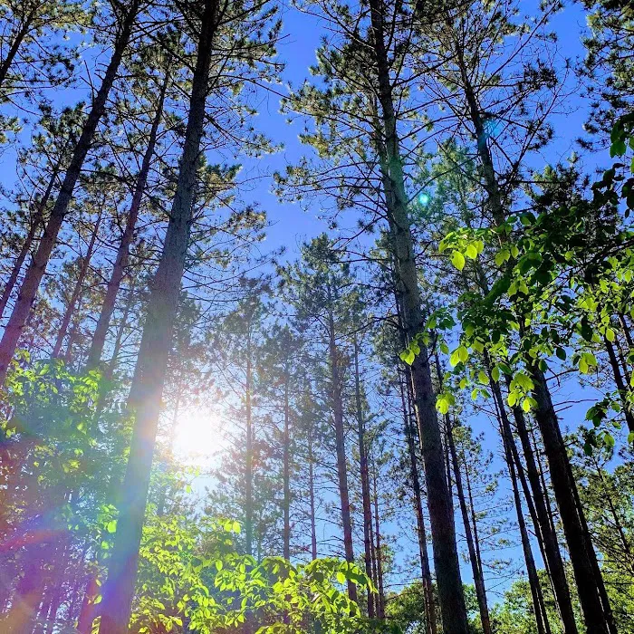 Kruger Campground 6