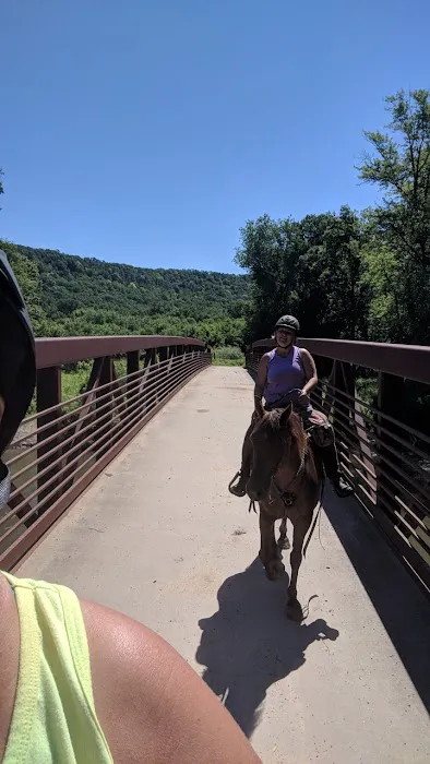 Zumbro Bottoms Horse Campground - Central 0