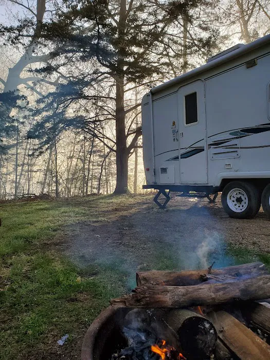 Allanson's Park Camping 6