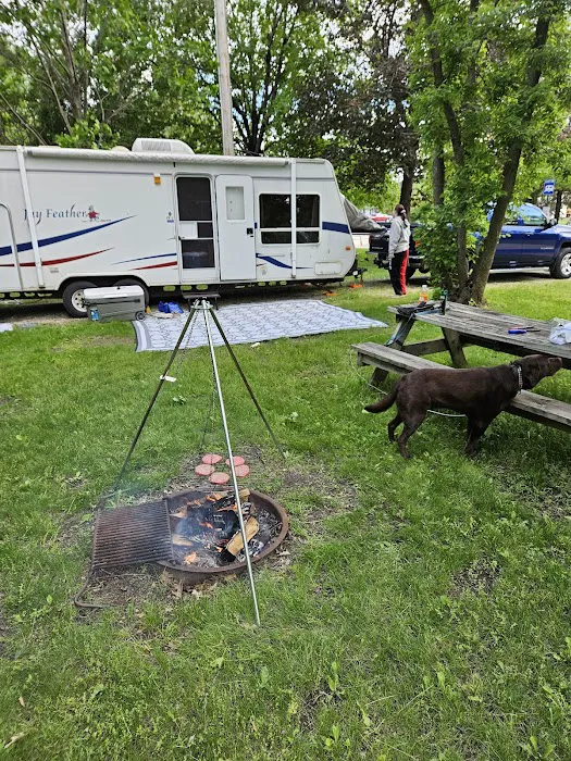 Allanson's Park Camping 4