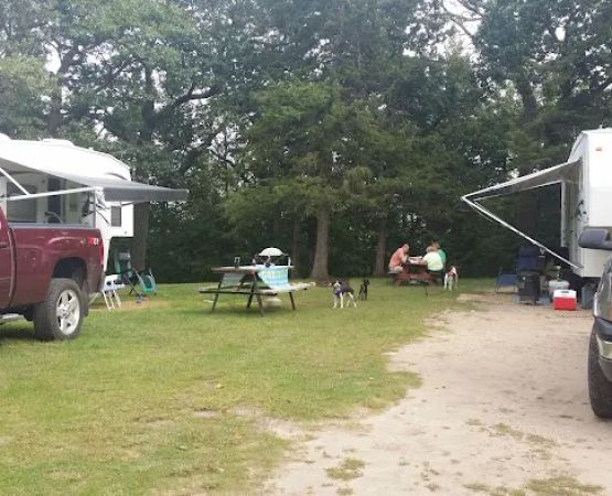 Allanson's Park Camping