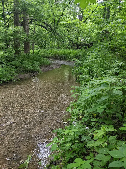 Peaceful Valley Campground 5