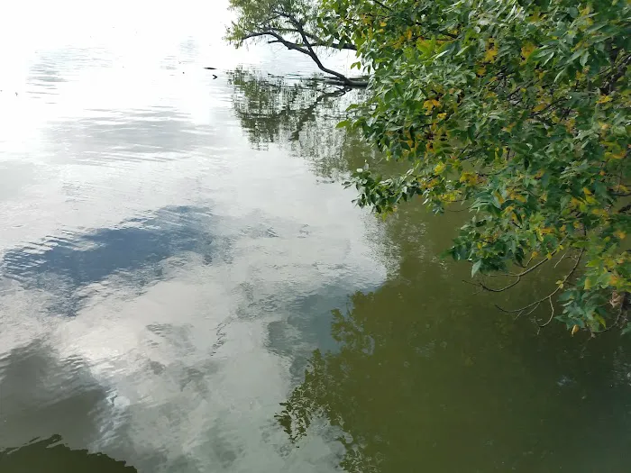 Elysian Shores Campground 4